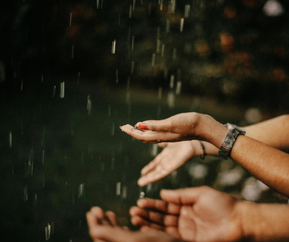 Untitled design (27)